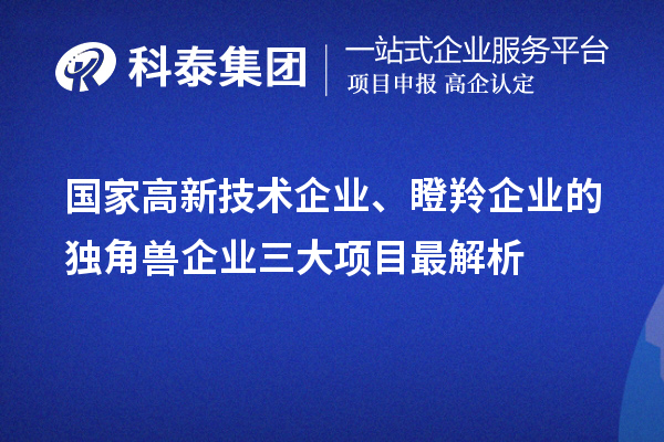 国家高新技术企业、瞪羚企业的独角兽企业三大项目最解析