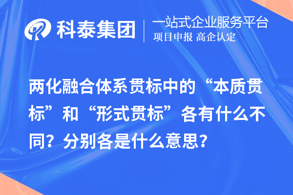 两化融合体系贯标中的“本质贯标”和“形式贯标”各有什么不同?分别各是什么意思?