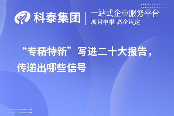 “专精特新”写进二十大报告,传递出哪些信号