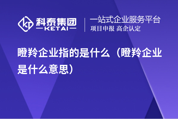 瞪羚企业指的是什么(瞪羚企业是什么意思)