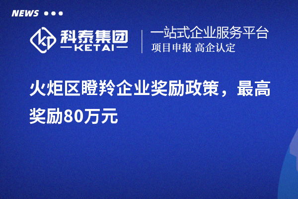 火炬区瞪羚企业奖励政策,最高奖励80万元