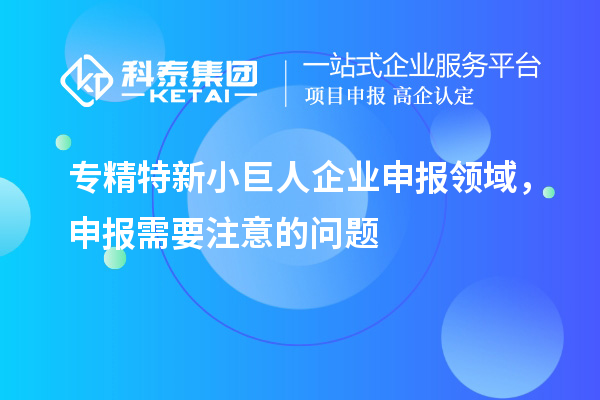 专精特新小巨人企业申报领域,申报需要注意的问题