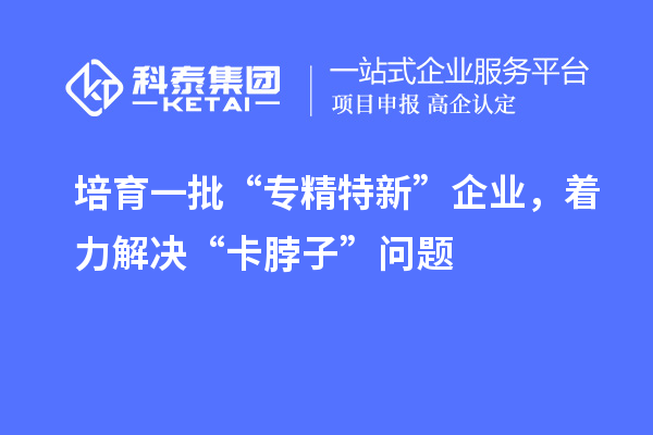 培育一批“专精特新”企业,着力解决“卡脖子”问题