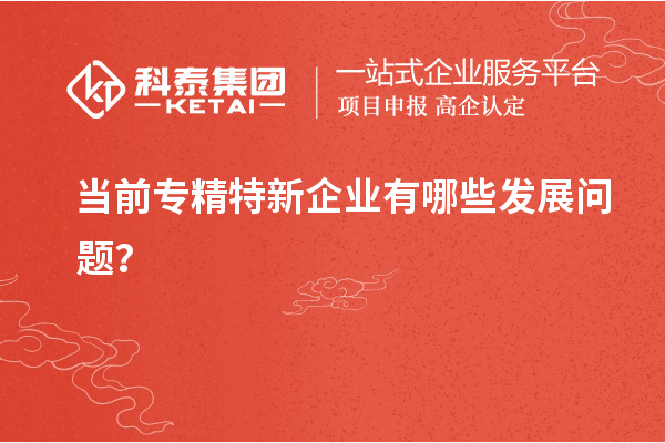当前专精特新企业有哪些发展问题?