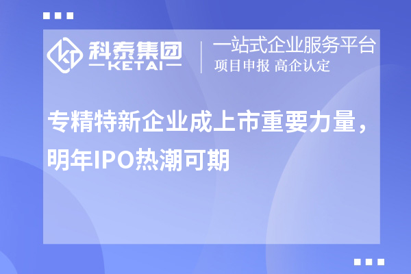 专精特新企业成上市重要力量,明年IPO热潮可期