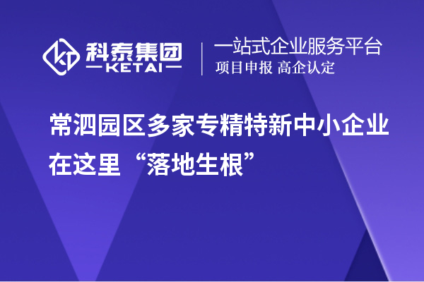 常泗园区多家专精特新中小企业在这里“落地生根”