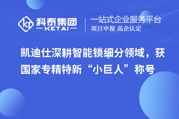 凯迪仕深耕智能锁细分领域,获国家专精特新“小巨人”称号