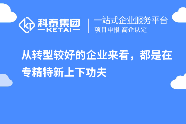 从转型较好的企业来看,都是在专精特新上下功夫