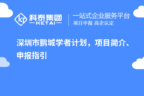 深圳市鹏城学者计划,项目简介、申报指引