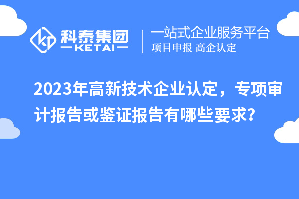2023年高新技术企业认定,专项审计报告或鉴证报告有哪些要求?