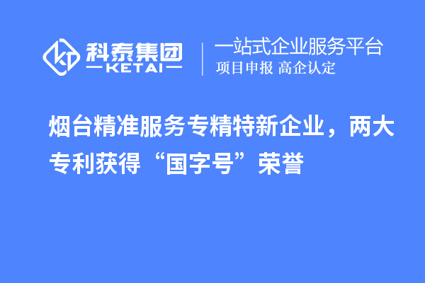 烟台精准服务专精特新企业,两大专利获得“国字号”荣誉