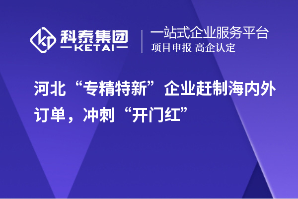 河北“专精特新”企业赶制海内外订单,冲刺“开门红”