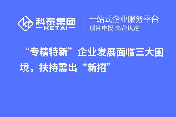 “专精特新”企业发展面临三大困境,扶持需出“新招”