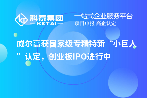 威尔高获国家级专精特新“小巨人”认定,创业板IPO进行中