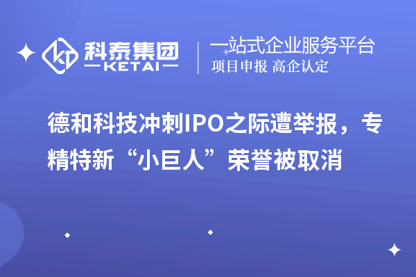 德和科技冲刺IPO之际遭举报,专精特新“小巨人”荣誉被取消
