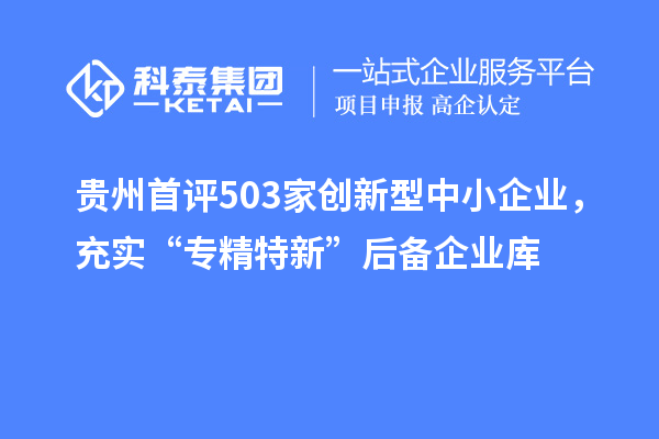 贵州首评503家创新型中小企业,充实“专精特新”后备企业库