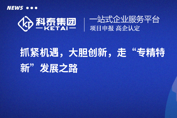 抓紧机遇,大胆创新,走“专精特新”发展之路