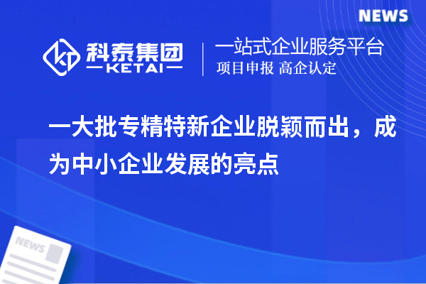 一大批专精特新企业脱颖而出,成为中小企业发展的亮点