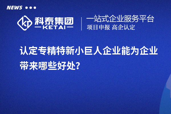 认定专精特新小巨人企业能为企业带来哪些好处?