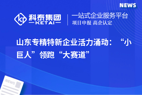 山东专精特新企业活力涌动:“小巨人”领跑“大赛道”