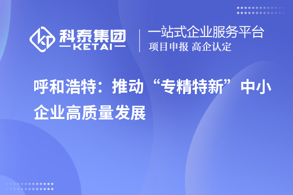 呼和浩特:推动“专精特新” 中小企业高质量发展