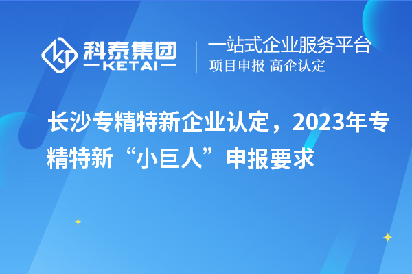 长沙专精特新企业认定,2023年专精特新“小巨人”申报要求