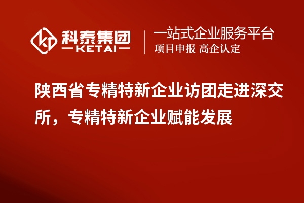陕西省专精特新企业访团走进深交所,专精特新企业赋能发展