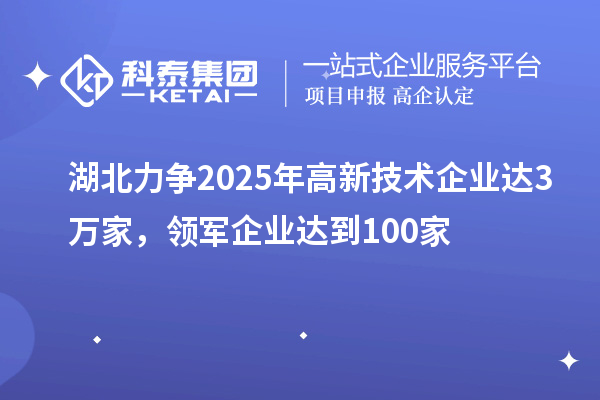 湖北力争2025年高新技术企业达3万家,领军企业达到100家