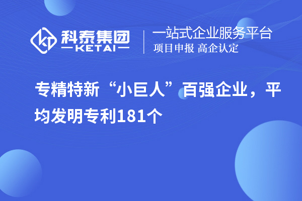 专精特新“小巨人”百强企业,平均发明专利181个