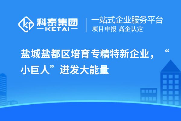 盐城盐都区培育专精特新企业,“小巨人”迸发大能量