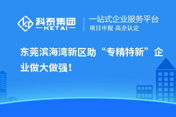 东莞滨海湾新区助“专精特新”企业做大做强!