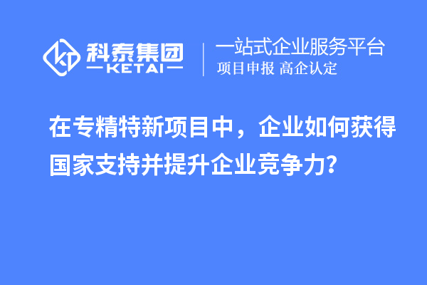 在专精特新项目中,企业如何获得国家支持并提升企业竞争力?