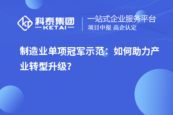 制造业单项冠军示范:如何助力产业转型升级?