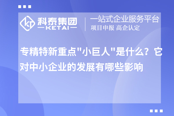 专精特新重点小巨人是什么?它对中小企业的发展有哪些影响