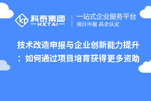 技术改造申报与企业创新能力提升:如何通过项目培育获得更多资助