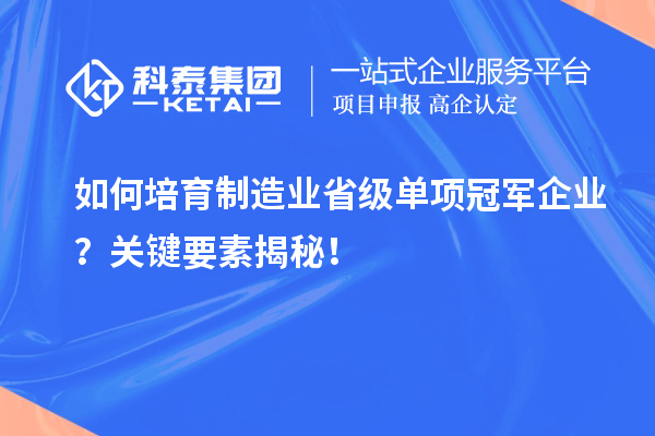 如何培育制造业省级单项冠军企业?关键要素揭秘!