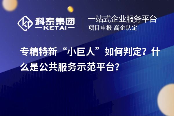 专精特新“小巨人”如何判定?什么是公共服务示范平台?