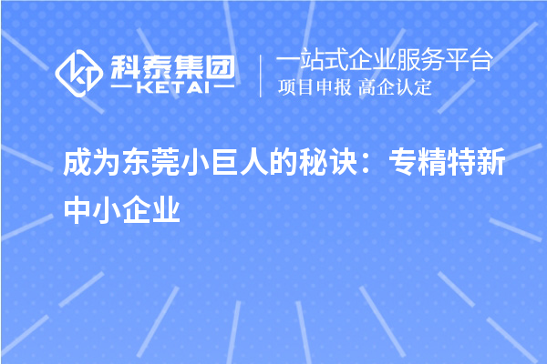 成为东莞小巨人的秘诀:专精特新中小企业