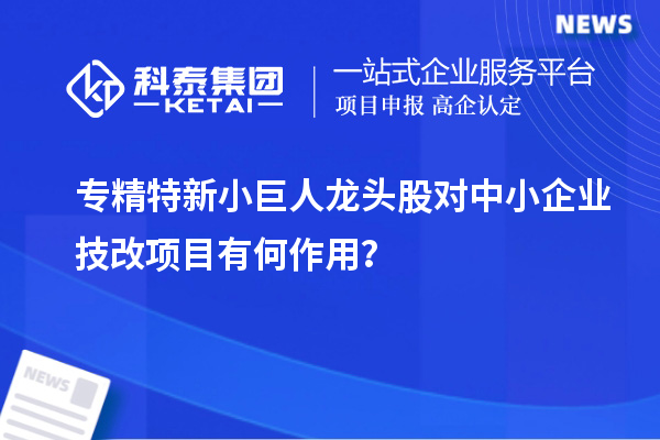 专精特新小巨人龙头股对中小企业技改项目有何作用?