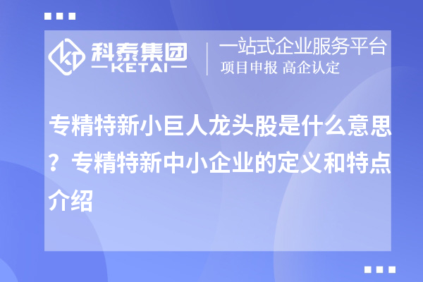专精特新小巨人龙头股是什么意思?<a href=//jiuyouhuitech.com/fuwu/zhuanjingtexin.html target=_blank class=infotextkey>专精特新中小企业</a>的定义和特点介绍