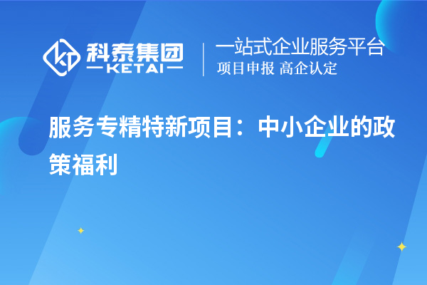 服务专精特新项目:中小企业的政策福利