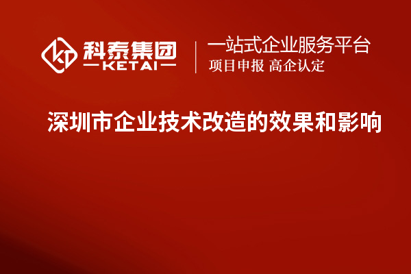 深圳市企业技术改造:成果评估与影响分析