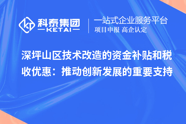 深坪山区技术改造的资金补贴和税收优惠:推动创新发展的重要支持