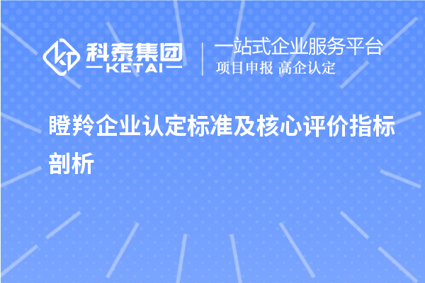 <a href=//jiuyouhuitech.com/fuwu/dengling.html target=_blank class=infotextkey>瞪羚企业认定</a>标准及核心评价指标剖析