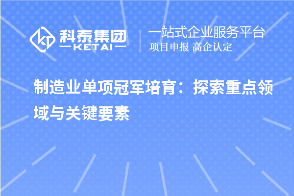 制造业单项冠军培育:探索重点领域与关键要素