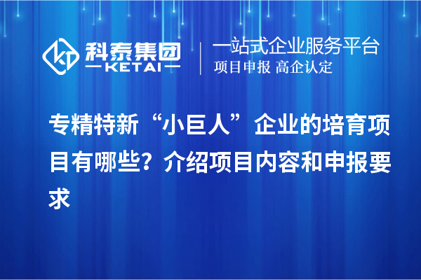 专精特新“小巨人”企业的培育项目有哪些?介绍项目内容和申报要求