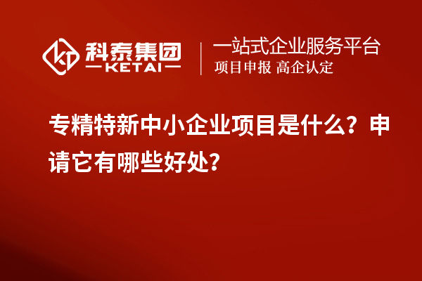 专精特新中小企业项目是什么?申请它有哪些好处?