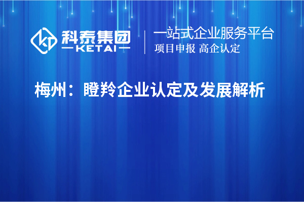梅州:瞪羚企业认定及发展解析