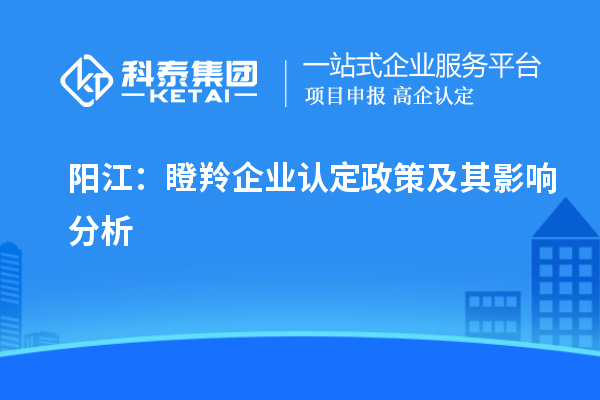 阳江:瞪羚企业认定政策及其影响分析