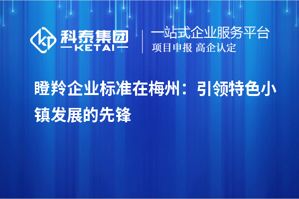 瞪羚企业标准在梅州:引领特色小镇发展的先锋